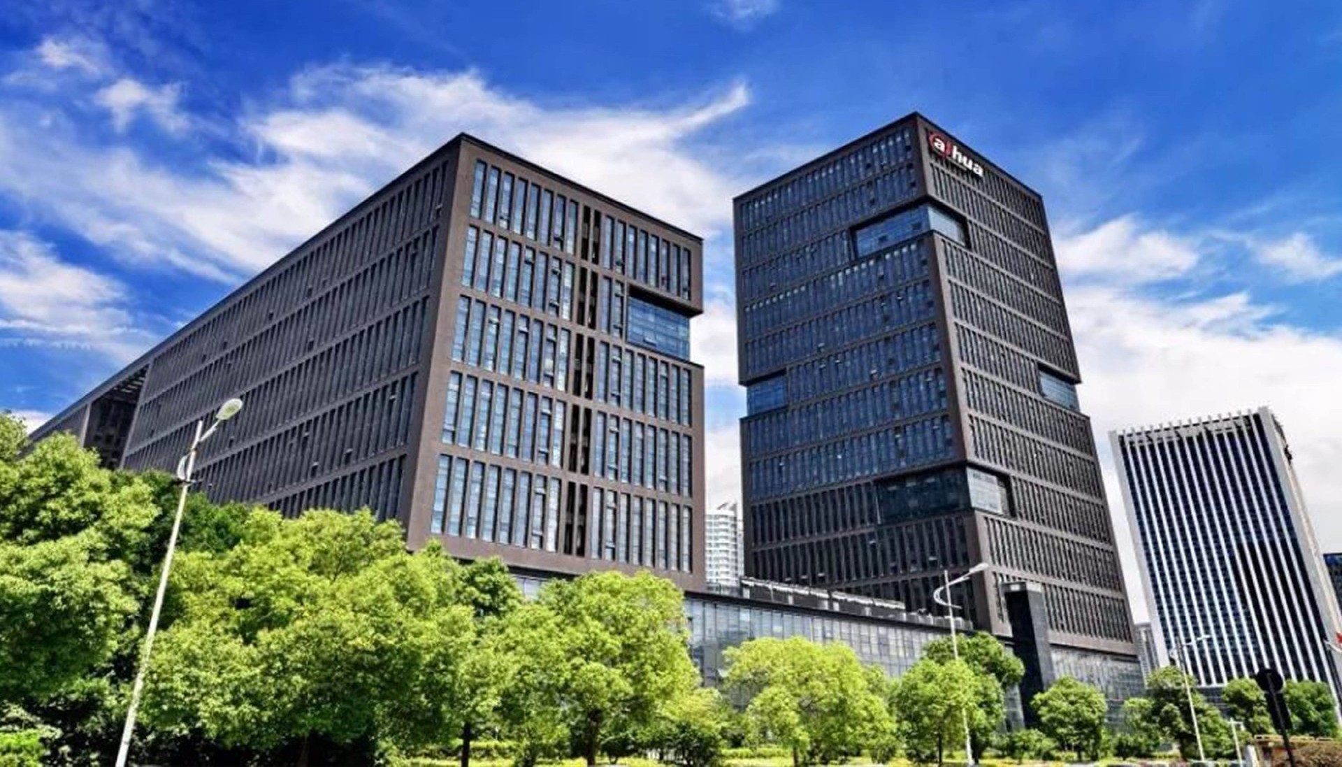 大华集团